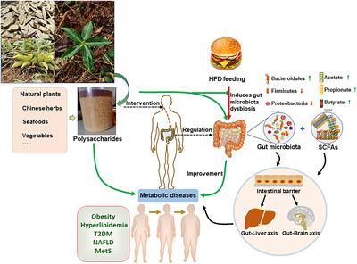 Targeting Gut Microbiota With Natural Polysaccharides: Effective Interventions Against High-Fat Diet-Induced Metabolic Diseases